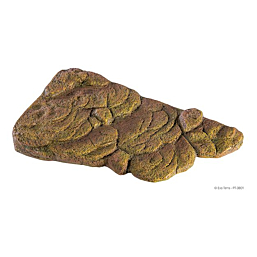 Terraariumi dekoor EXO-TERRA Kilpkonnakalju keskmine