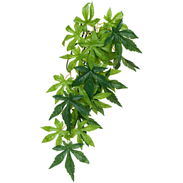 Terraariumi dekoor EXO-TERRA Siiditaim Väike Abutilon