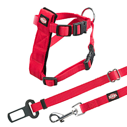 Car harness for cats, 20–50 cm/15 mm, red