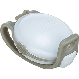 USB Flasher for dogs, 4 × 11.5 cm