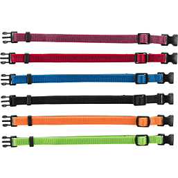 Junior set of puppy collars, M–L: 22–35 cm/10 mm, black, red, royal blue, apple, papaya, orchid