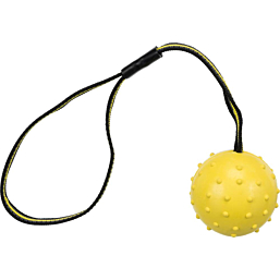 Toy for dogs Sporting ball on strap, natural rubber, ø 6 × 35 cm