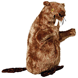 Toy for dogs Beaver, plush, 40 cm