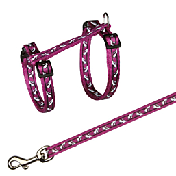Cat harness with leash, for all cats, nylon, 27–45 cm/10 mm, 1.20 m