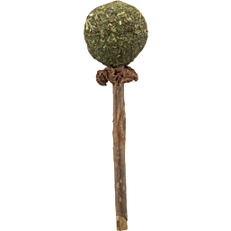 Kassi mänguasi Matatabi lolly, 11cm