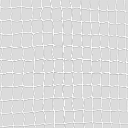 Protective net, 8 × 3 m, transparent