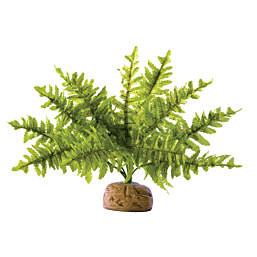 Terrarium decoration EXO-TERRA Boston Fern, Small
