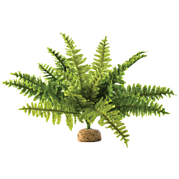 Terraariumi dekoor EXO-TERRA Boston Fern, Keskmine