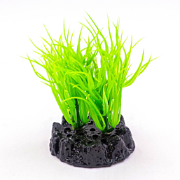 Plastic plant Q-117T 4" 10cm