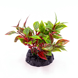 Plastic plant Q-153A 4" 10cm