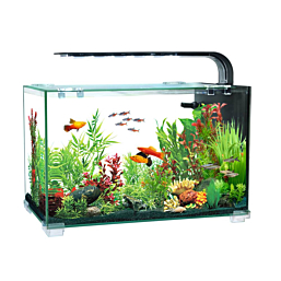 Aquarium AQUACLEAR DESKTOP TANK AC16 13L 356x206x234mm
