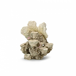 Aquarium decoration Coral Reef ML 21x18x31cm