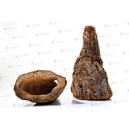 Terraariumi kaunistus Söödamägi M 15cm