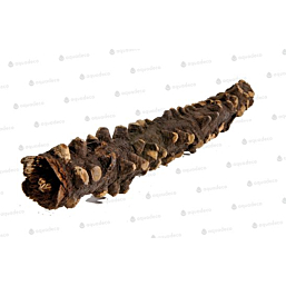 Terraarium kaunistus Silmad Puit 20-30cm