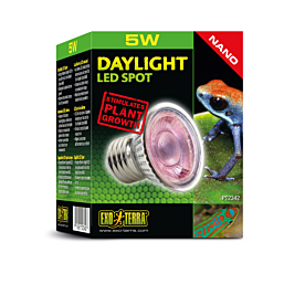 Terrarium lamp Daylight LED Spot NANO 5w PT2342