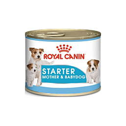 Royal Canin Starter Mousse 195 g Wet Dog Food