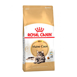 Royal Canin Maine Coon 4 kg Kuivtoit kassidele
