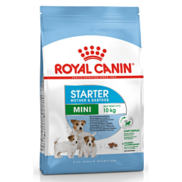 Royal Canin Mini Started M&B 1 kg Kuivtoit Koertele