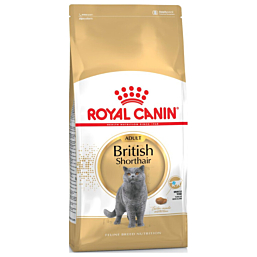 Royal Canin British Shorthair 400 g Kuivtoit kassidele