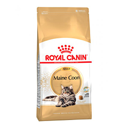 Royal Canin Maine Coon 10 kg Kuivtoit kassidele