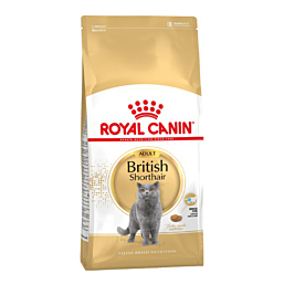 Royal Canin British Shorthair 4 kg Kuivtoit kassidele