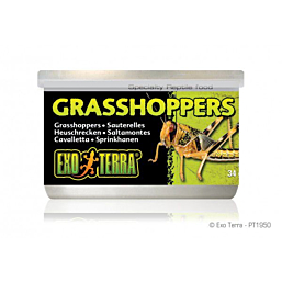 Grasshoppers EXO TERRA, 34g