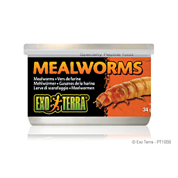 Mealworms EXO TERRA 34g