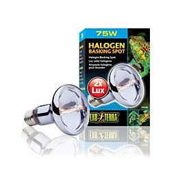 Terrarium lamp Halogen Basking Spot  75w PT2182