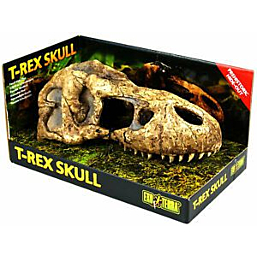 Terraariumi dekoor EXO-TERRA T-Rexi kolju