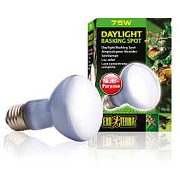 Terrarium lamp Daylight Basking Spot R20 75w PT2132