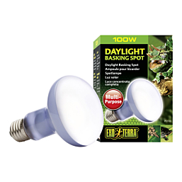 Terrarium lamp Daylight Basking Spot R25 100w PT2133