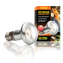 Terrarium lamp Intense Basking Spot S20 75w PT2136
