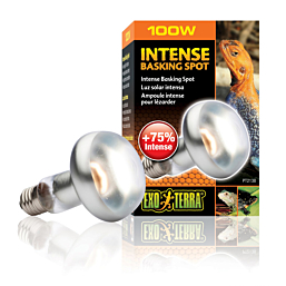 Terrarium lamp Intense Basking Spot S25 100w PT2138