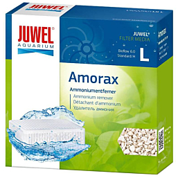 Juwel Amorax