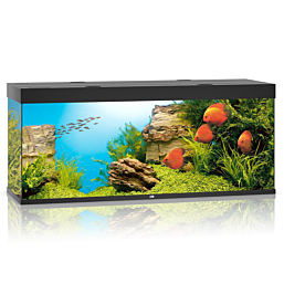 Akvaarium Juwel Rio LED 450