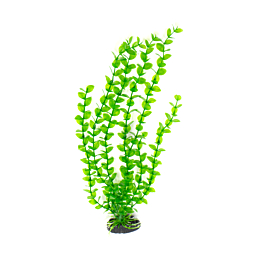 Plastic plant M017 40cm