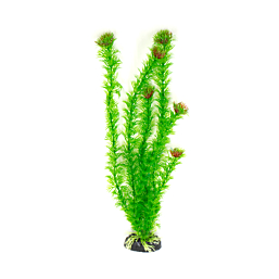 Plastic plant M036 40cm