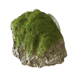 Aquarium decoration Moss Stone With Suction Cup XS 9x6x6,5cm