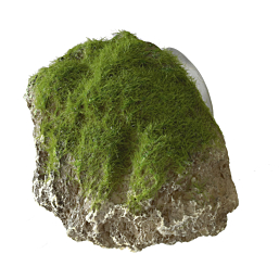 Aquarium decoration Moss Stone With Suction Cup S 12x9,5x10,5cm