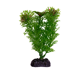Plastic plant M020 10cm