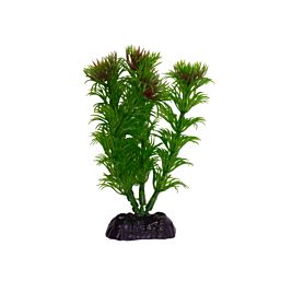 Plastic plant M036 10cm