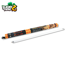 Terrarium T5 Tube Lamp Lucky Herp 8W UVB10.0