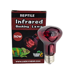 Terrarium lamp Lucky Herp Basking Infrared R63 50W