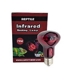 Terrarium lamp Lucky Herp Basking Infrared R80 75W