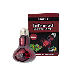 Terrarium lamp Lucky Herp Basking Infrared R80 100W