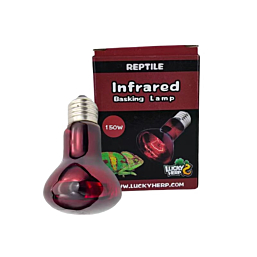 Terrarium lamp Lucky Herp Basking Infrared R95 150W