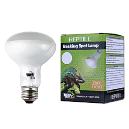 Terrarium lamp Lucky Basking Spot Day Light R63 50W