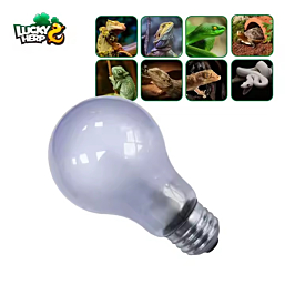 Terrarium lamp Lucky Herp Neodymium Daylight A19 50W