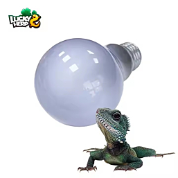 Terrarium lamp Lucky Herp Neodymium Daylight  A19 75W