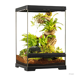 Klaasist terraarium Exo-Terra Pro X-Small Tall 30 x 30 x 45 cm